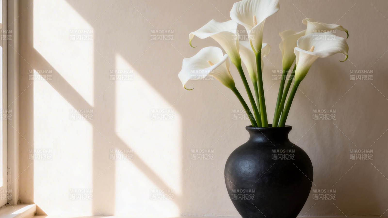 窗边白花映黑瓶图片