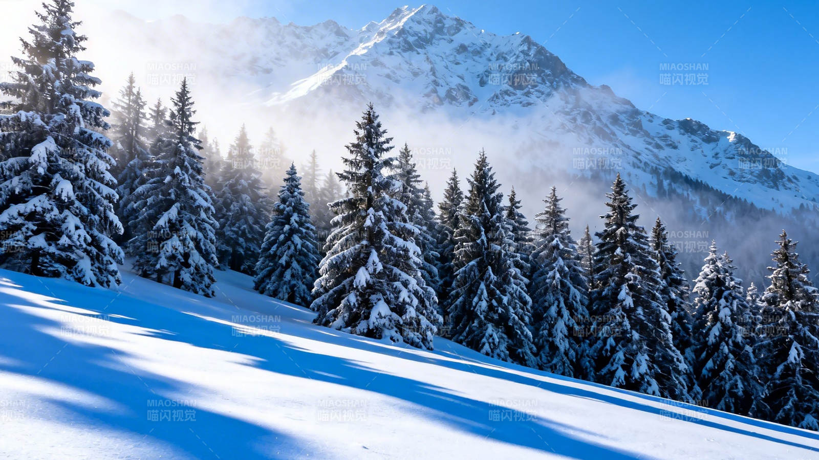 雪覆松林 山雾缭绕图片
