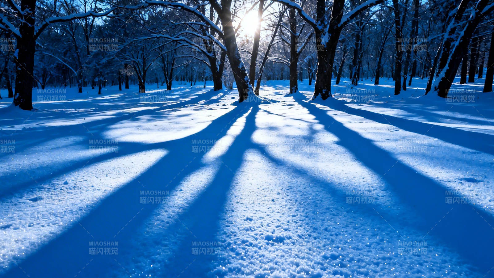 雪林晨光 树影如诗图片