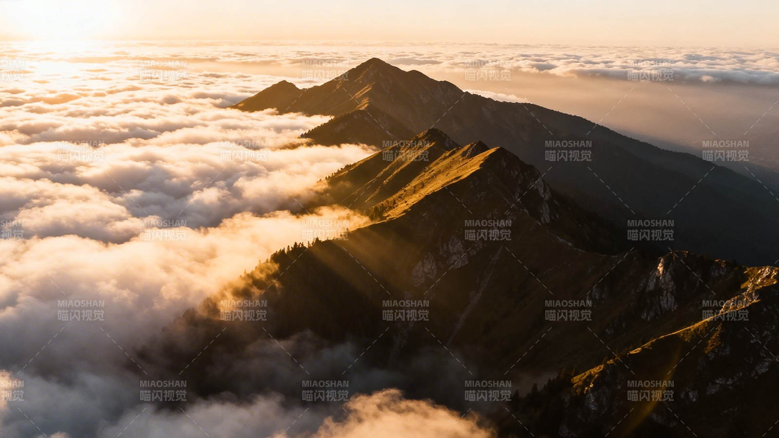 云海之上 金光染山脊图片