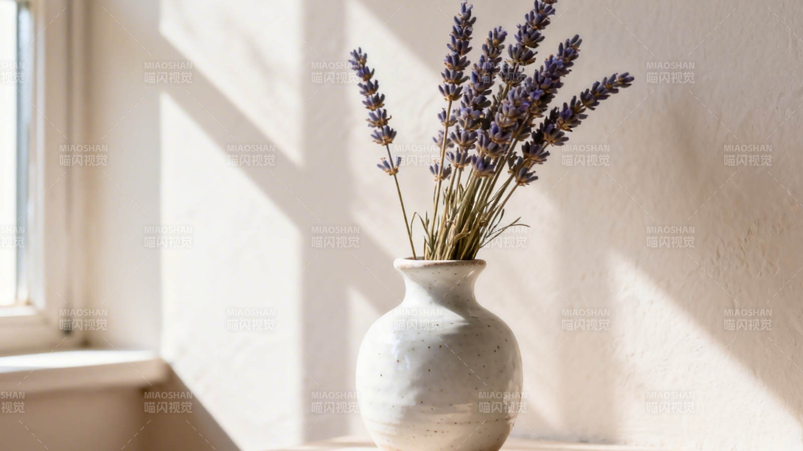 窗边薰衣草 静享阳光香图片