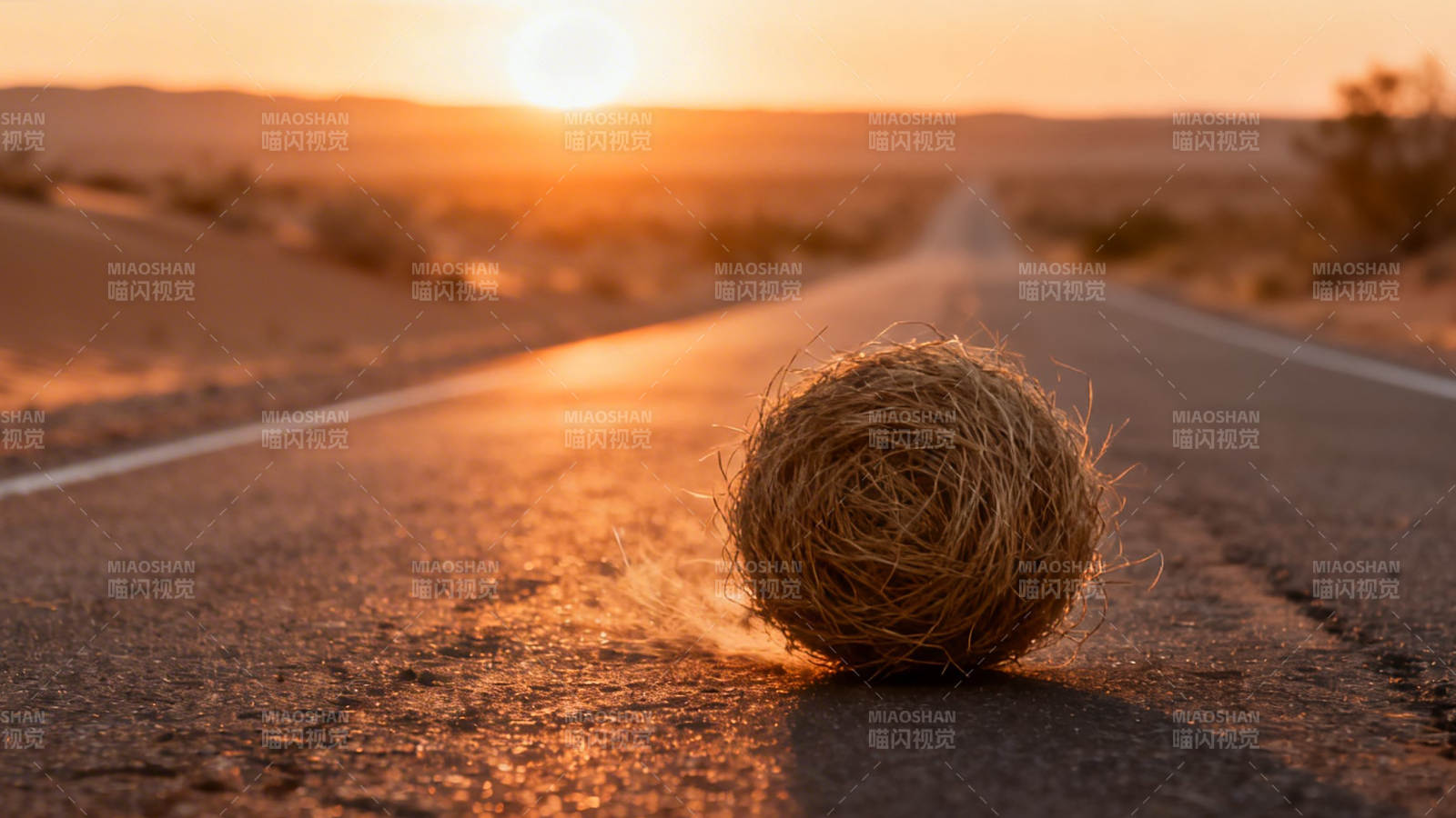 夕阳下 草球静卧荒漠公路图片