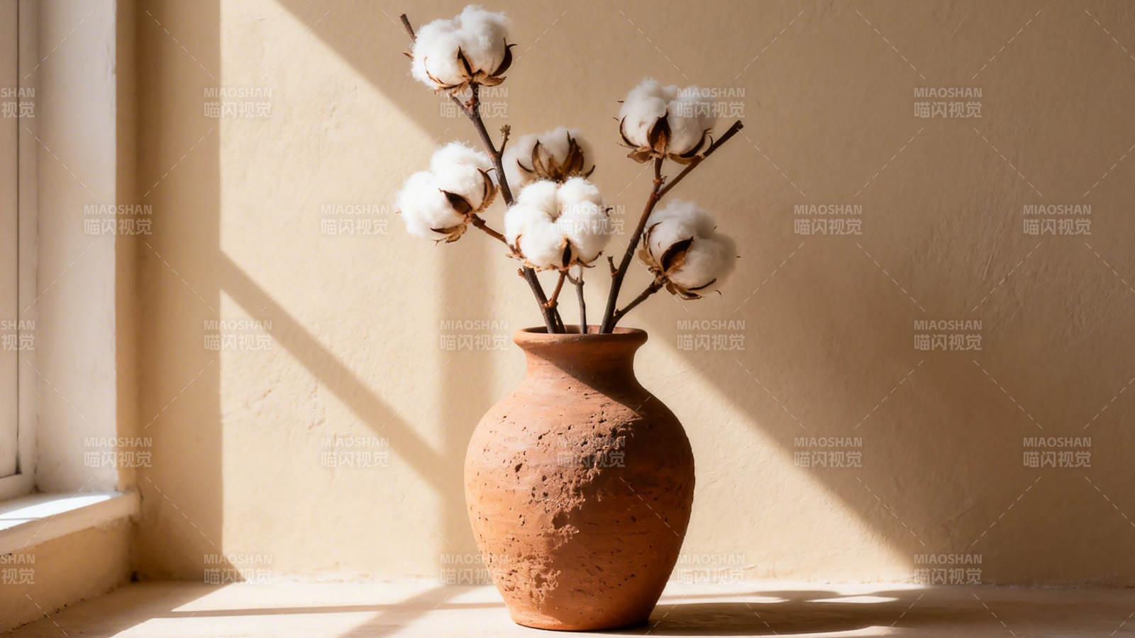 阳光下的棉枝陶瓶静物图片