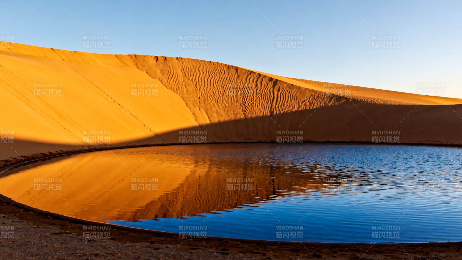 沙漠绿洲 金沙映碧水图片