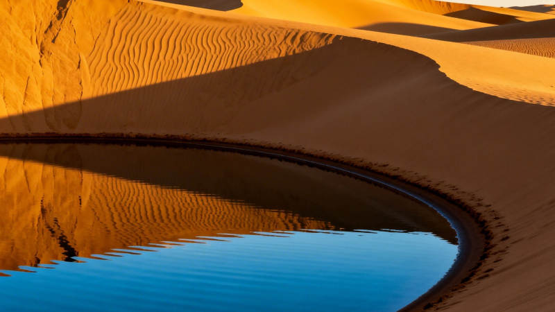 沙漠绿洲 金沙映碧水图片