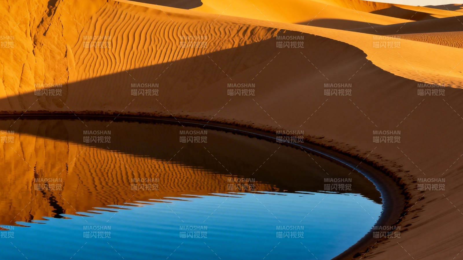 沙漠绿洲 金沙映碧水图片