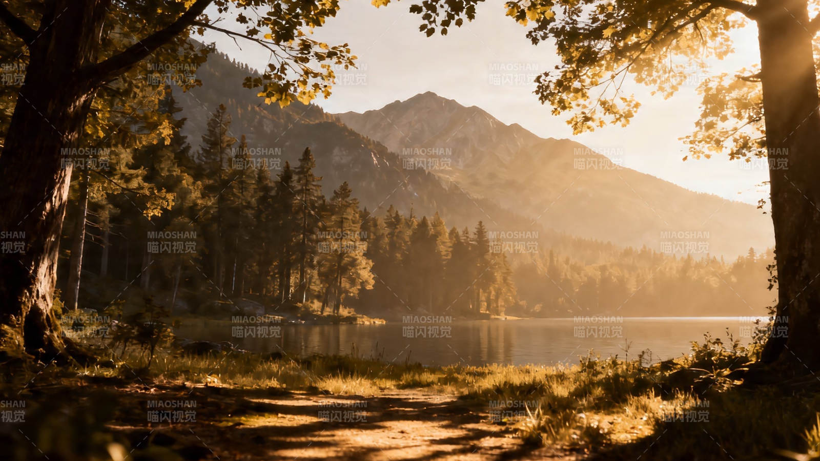 秋日湖光山色 暖阳穿林间图片