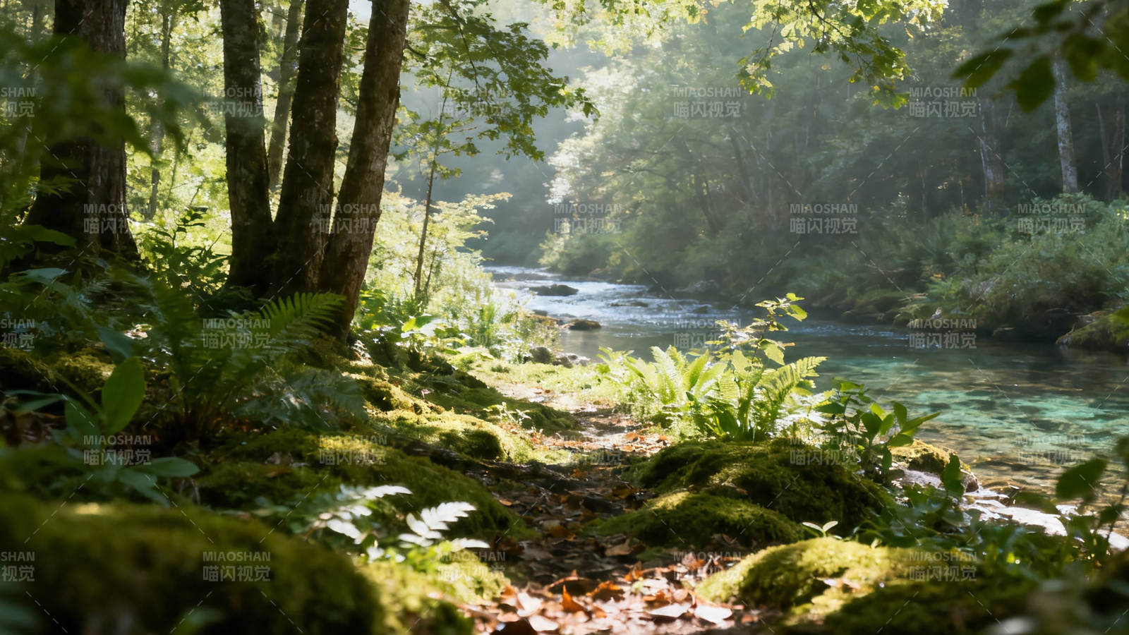 林间溪流 绿意盎然图片
