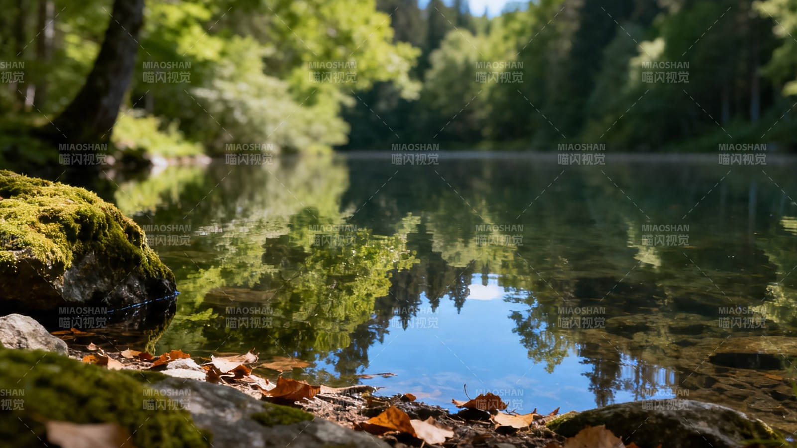 林间静湖 倒影如镜图片