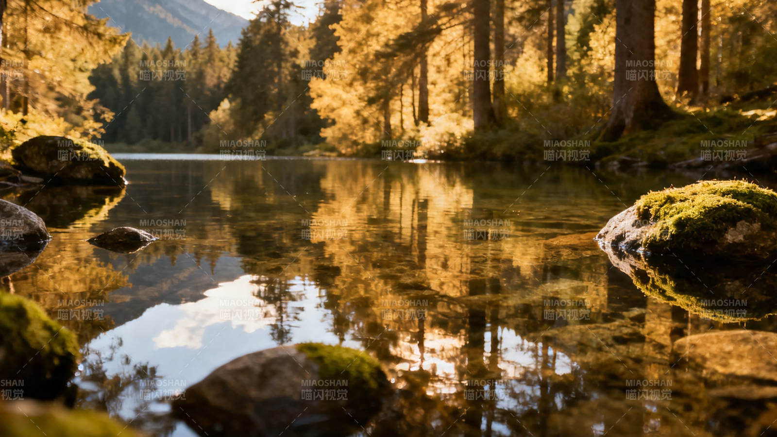 秋日湖光 林影倒映如金画图片