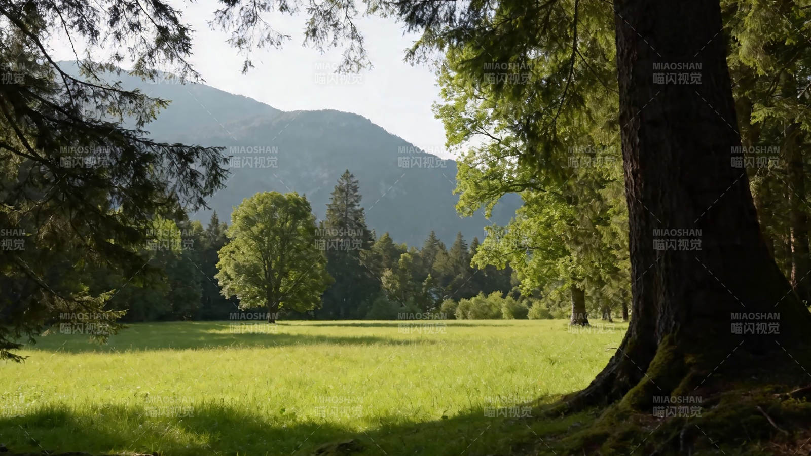 林间草地 远山如黛图片