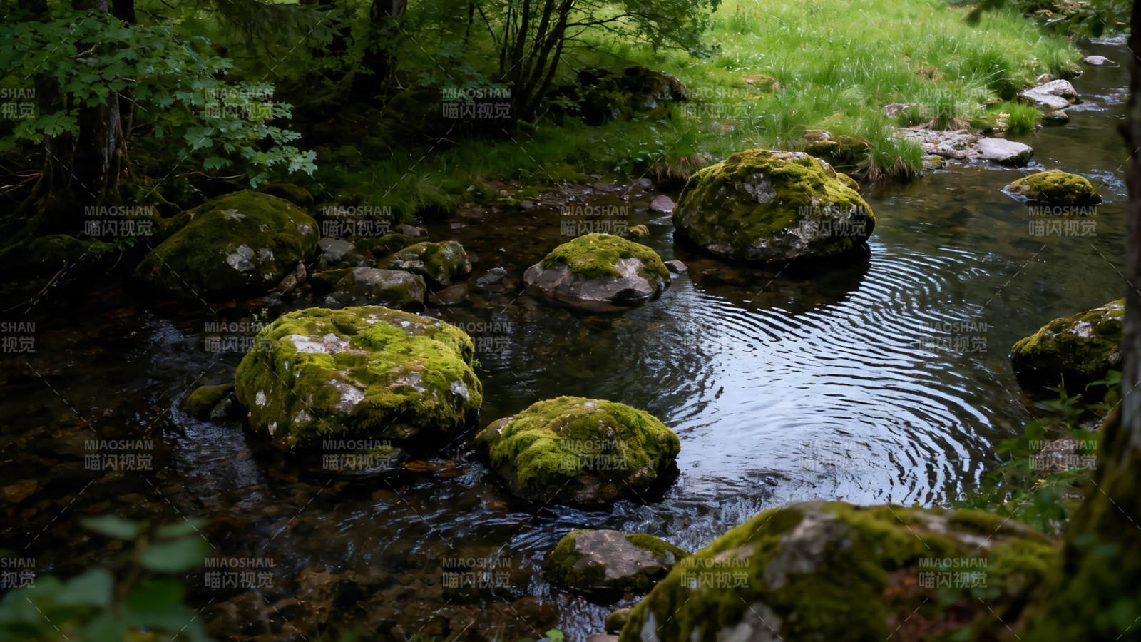 溪石青苔 流水潺潺图片