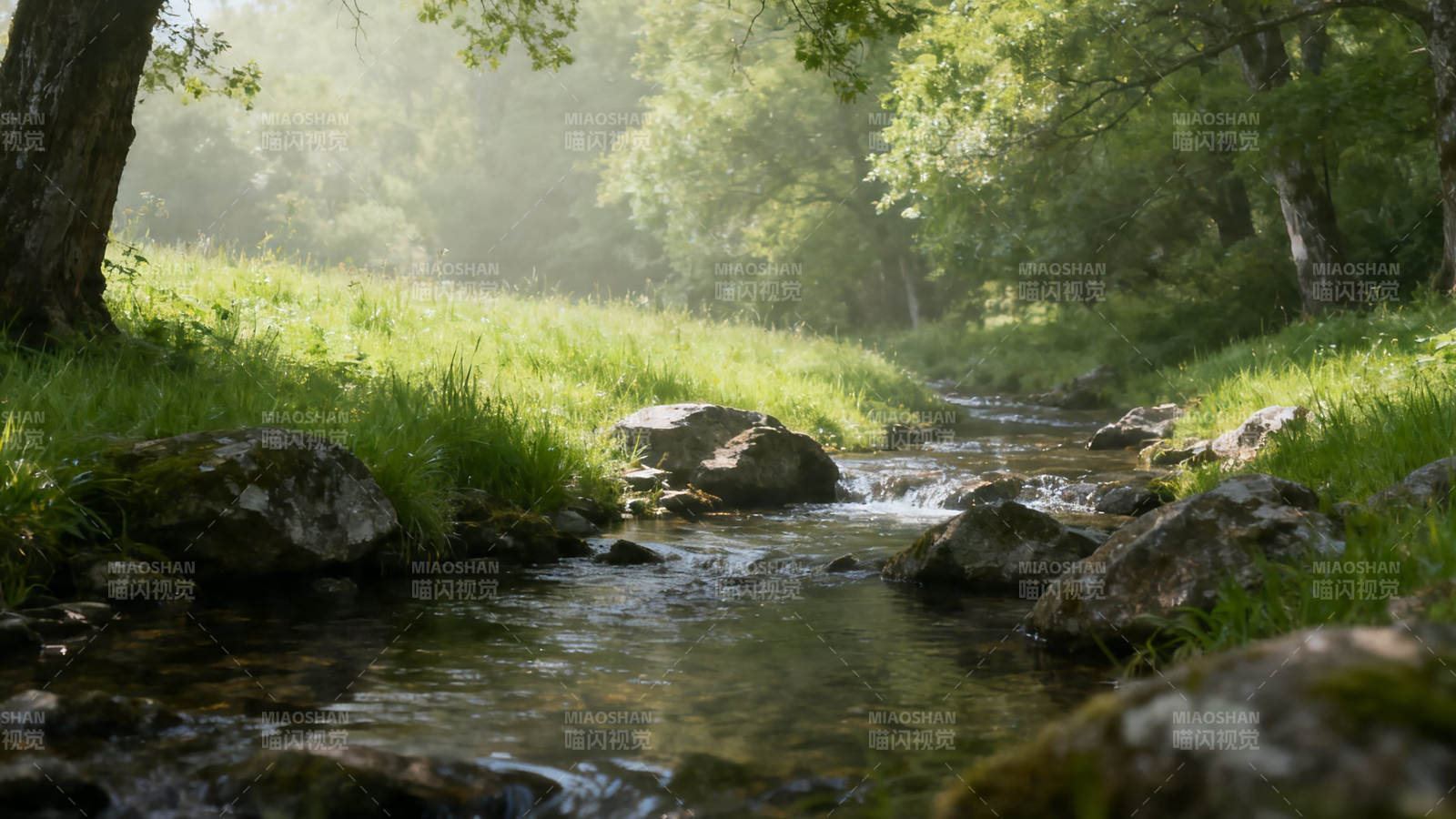 林间溪流 晨光静谧图片