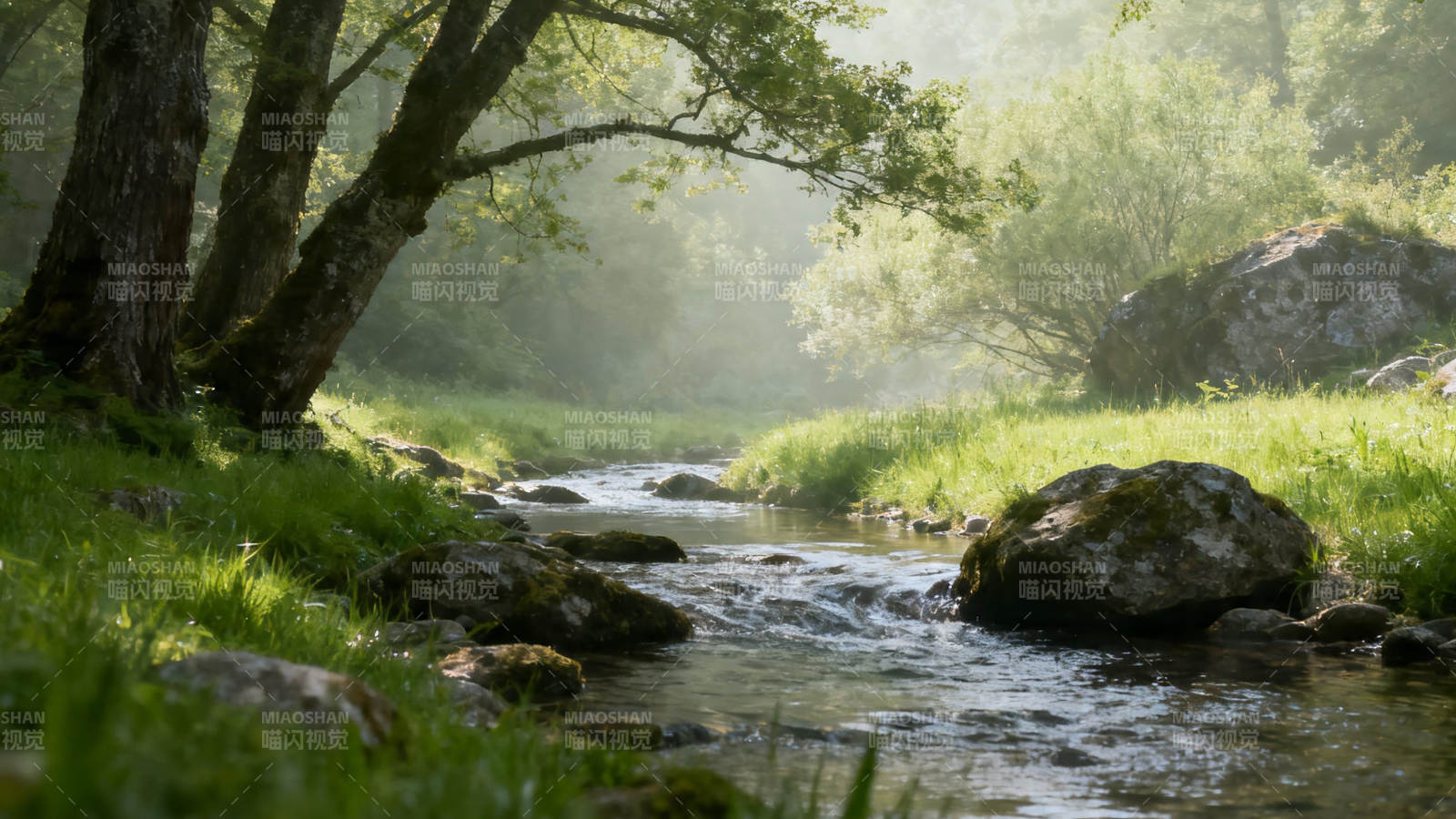 晨雾溪流 绿树环绕静谧景图片