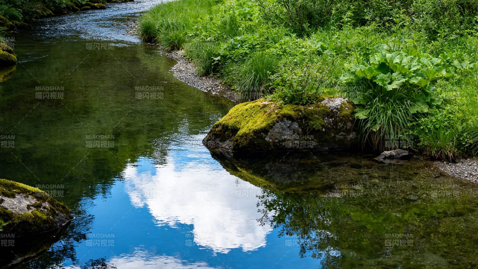 溪流映云 绿苔绕石间图片