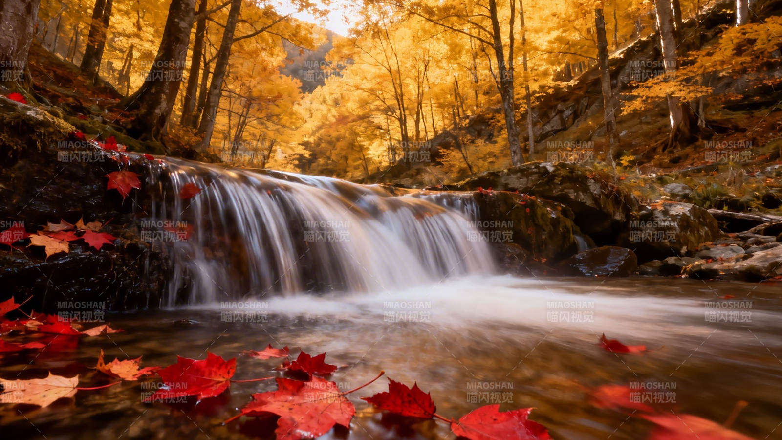 秋林瀑布 红叶映水图片