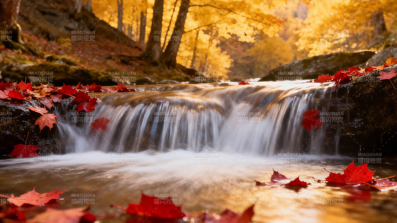 秋溪落叶 流水潺潺图片