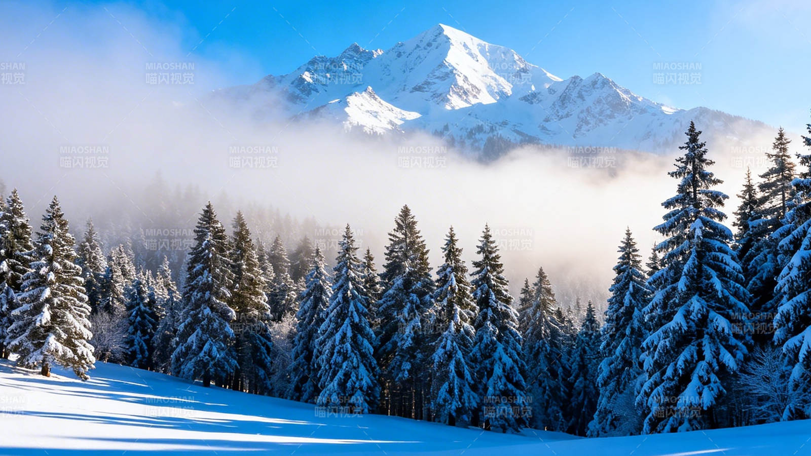雪山云海松林雪景图图片