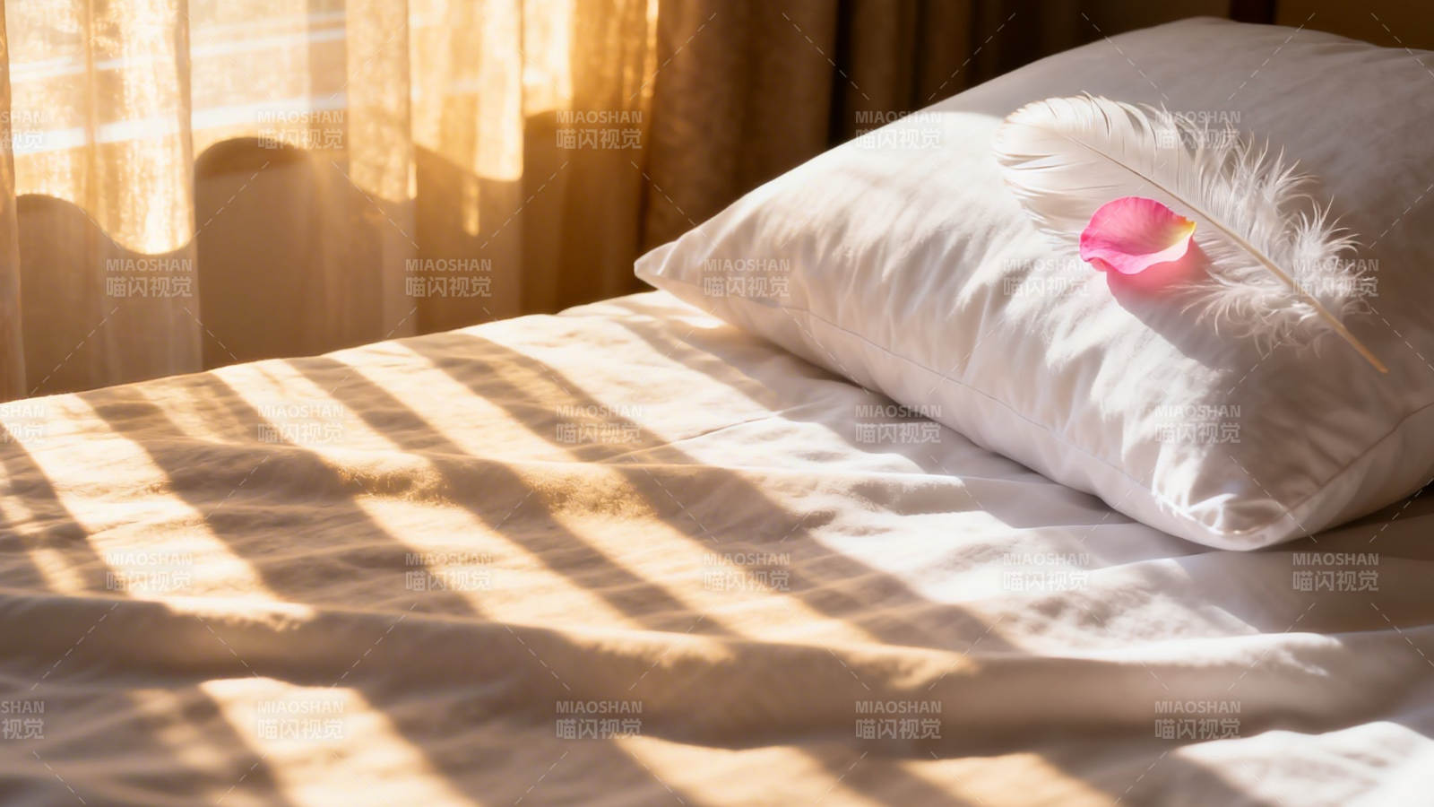 晨光枕畔  feather与花瓣轻语图片