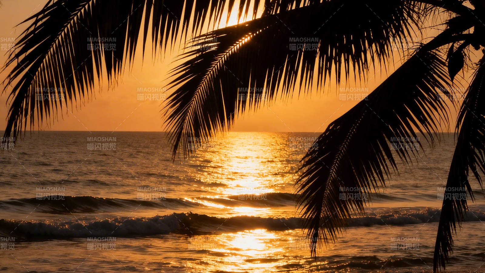 椰影夕阳 海天一色金辉图片