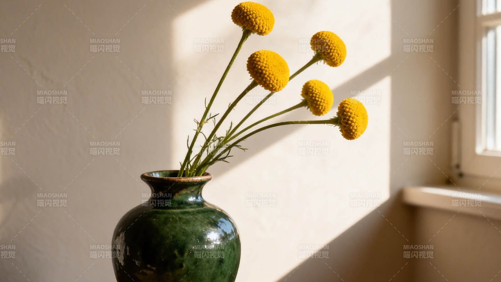 绿瓶黄花 光影静美图片