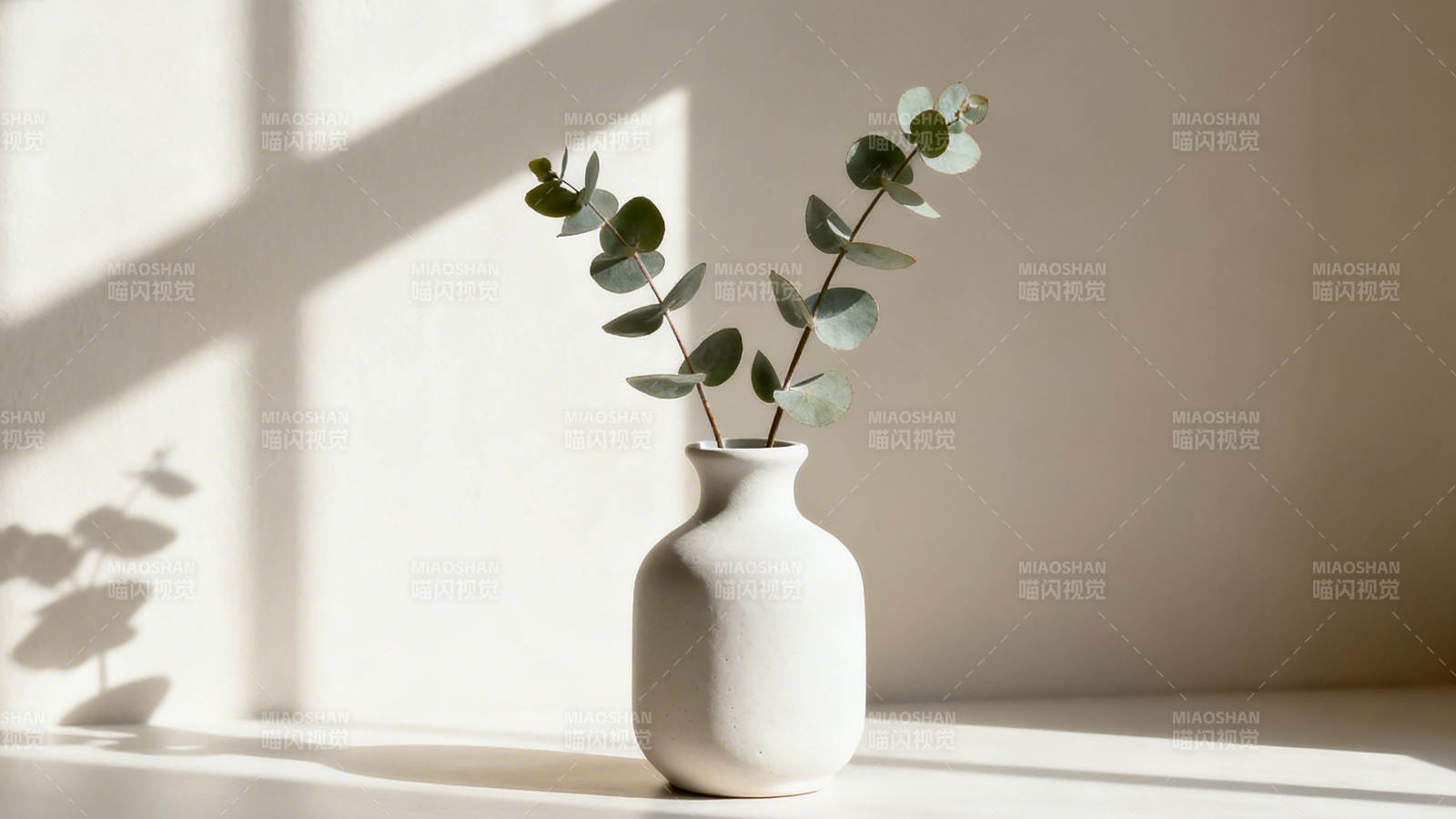 阳光下的白瓶尤加利图片