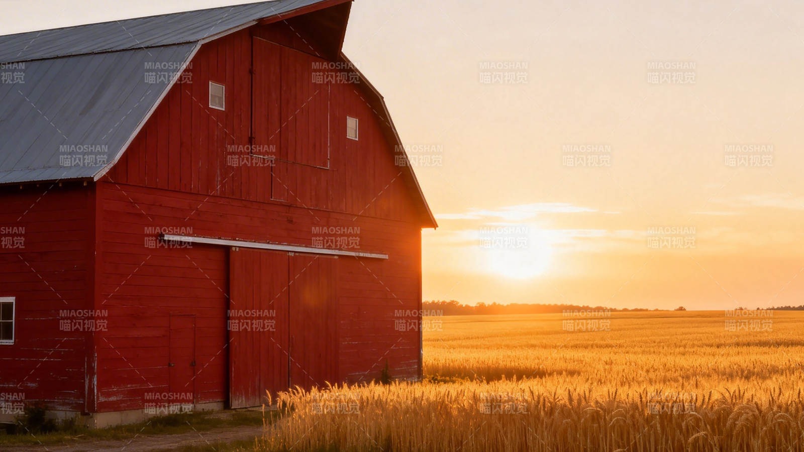 夕阳红 barn 麦田静美图片