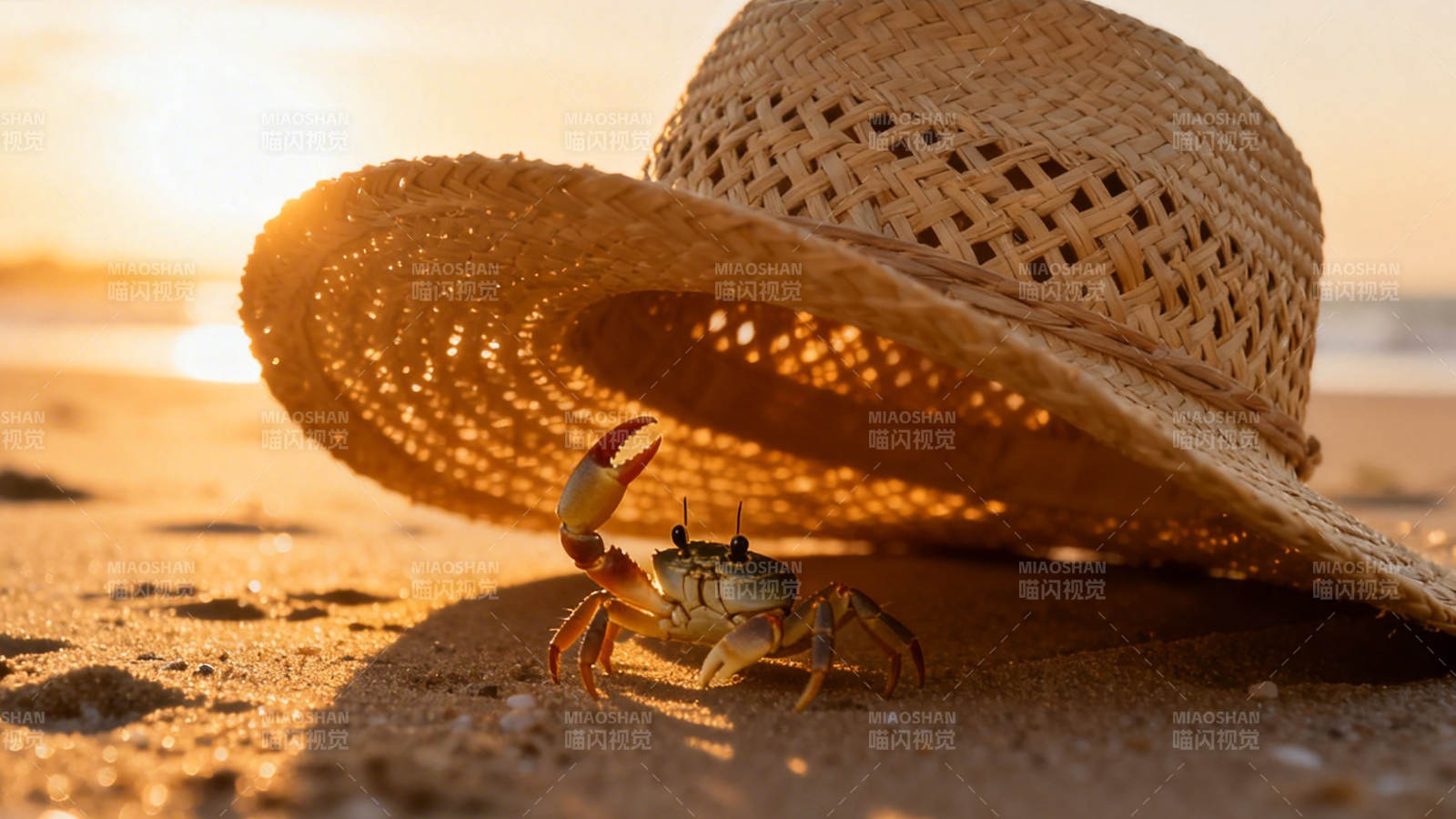 蟹戴草帽 沙滩夕阳暖图片