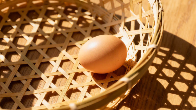 竹篮盛蛋 光影斑驳图片
