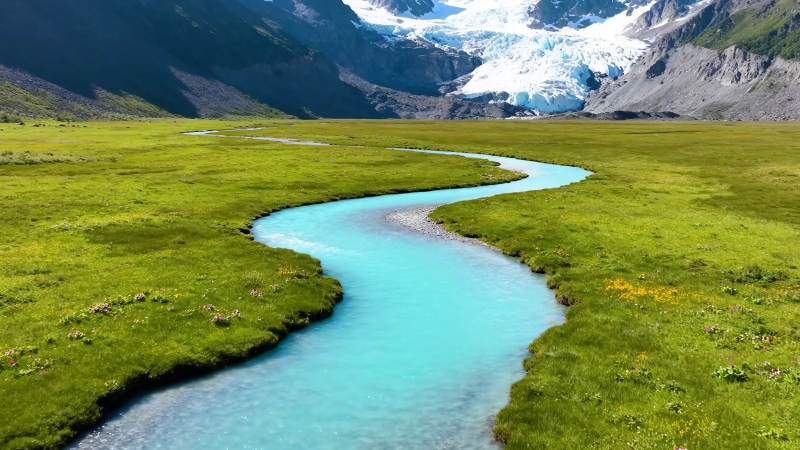 冰川融水蜿蜒绿野间图片