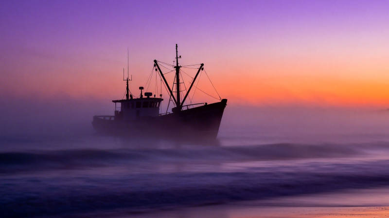 雾海孤舟 紫霞映归途图片