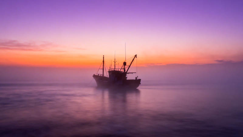 雾海孤舟 紫霞映寂寥图片