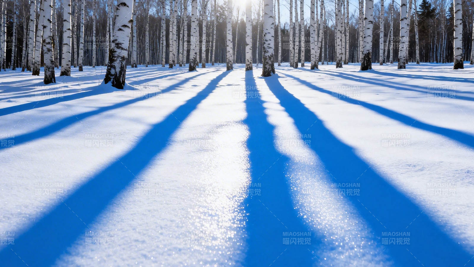 雪林长影 冬日静谧之美图片