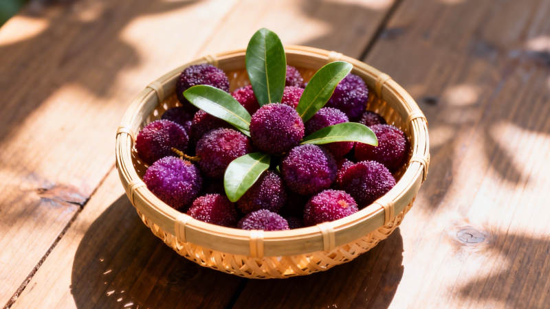 竹篮盛紫果 绿叶映阳光图片