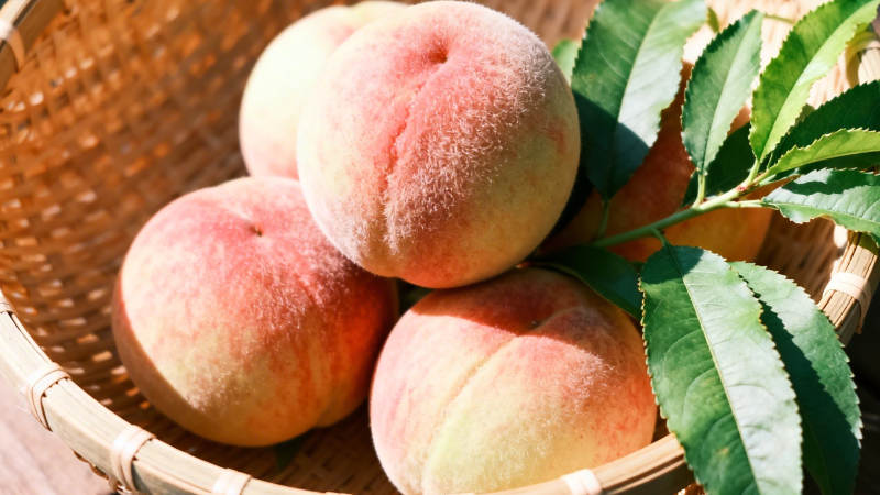 竹篮鲜桃配绿叶图片