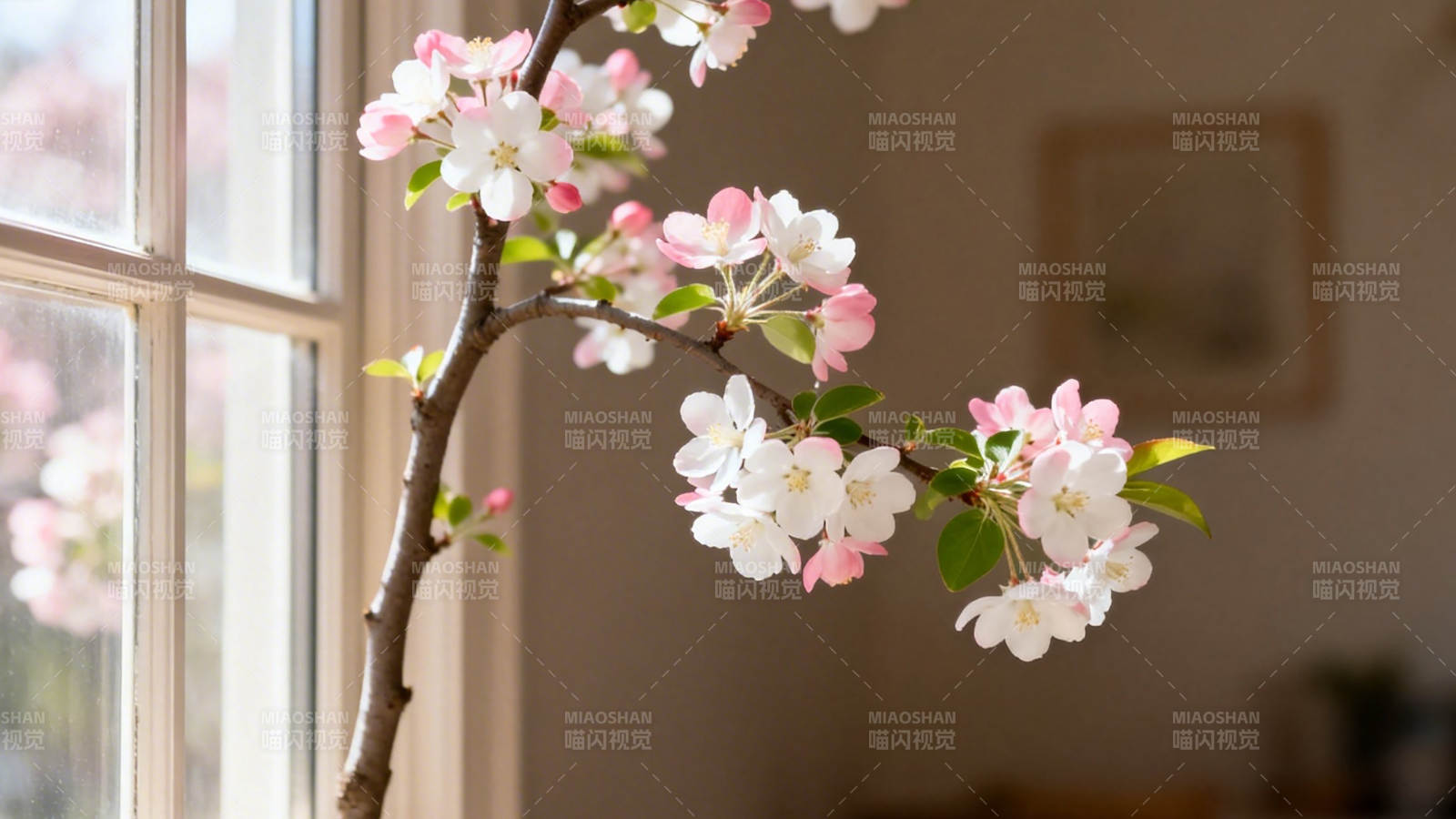 窗边春花静绽 温柔满室图片