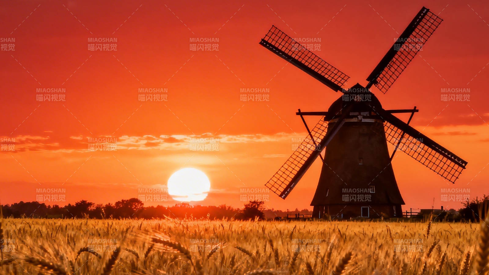 夕阳风车麦田景图片