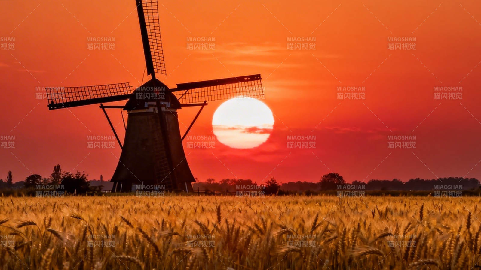 夕阳风车麦田景图片