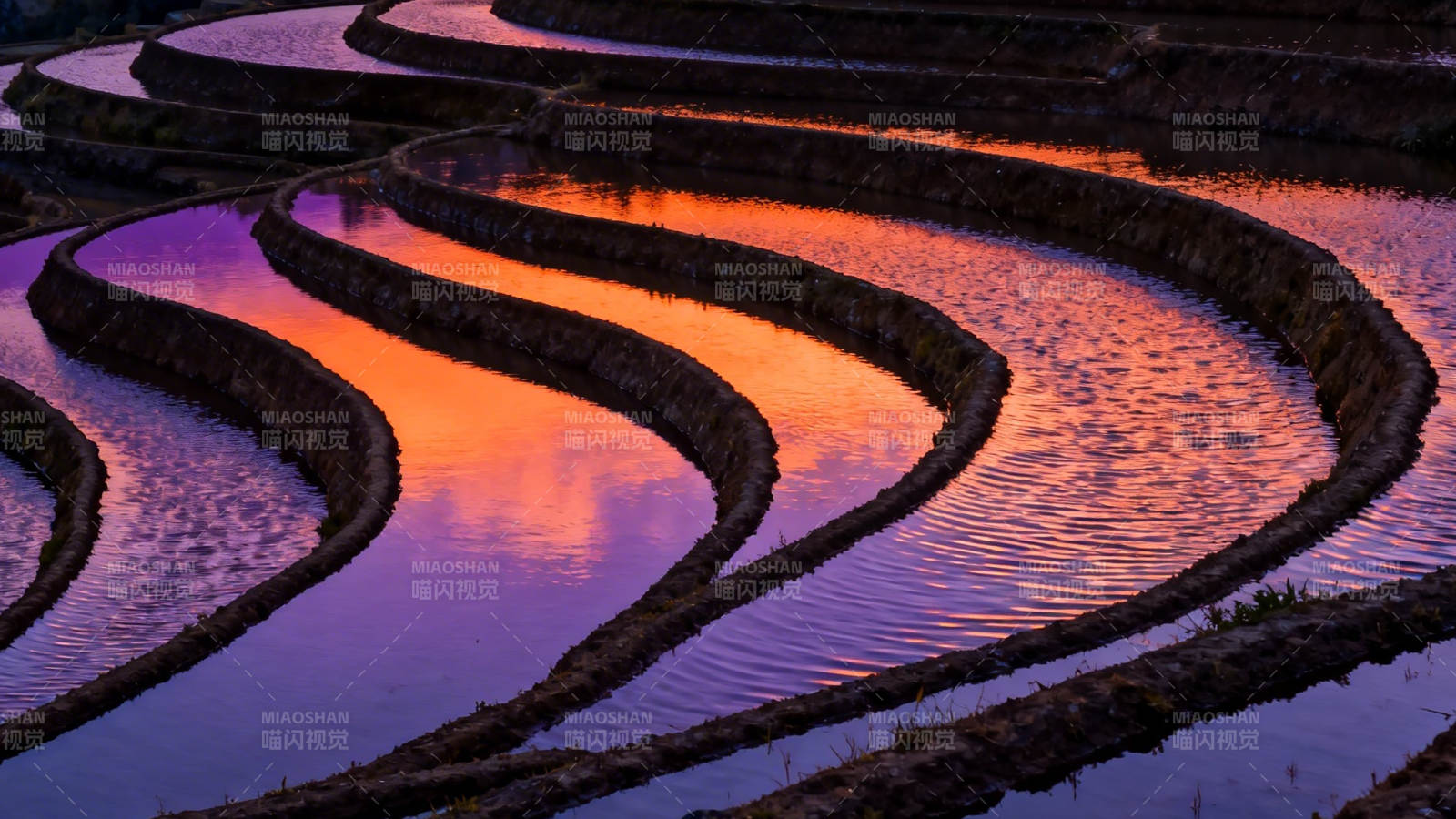 梯田映霞 水波如缎图片