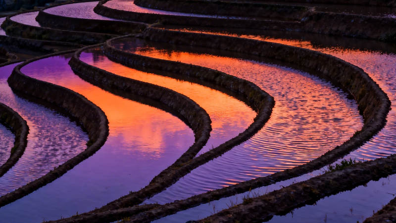 梯田映霞 水波如缎图片