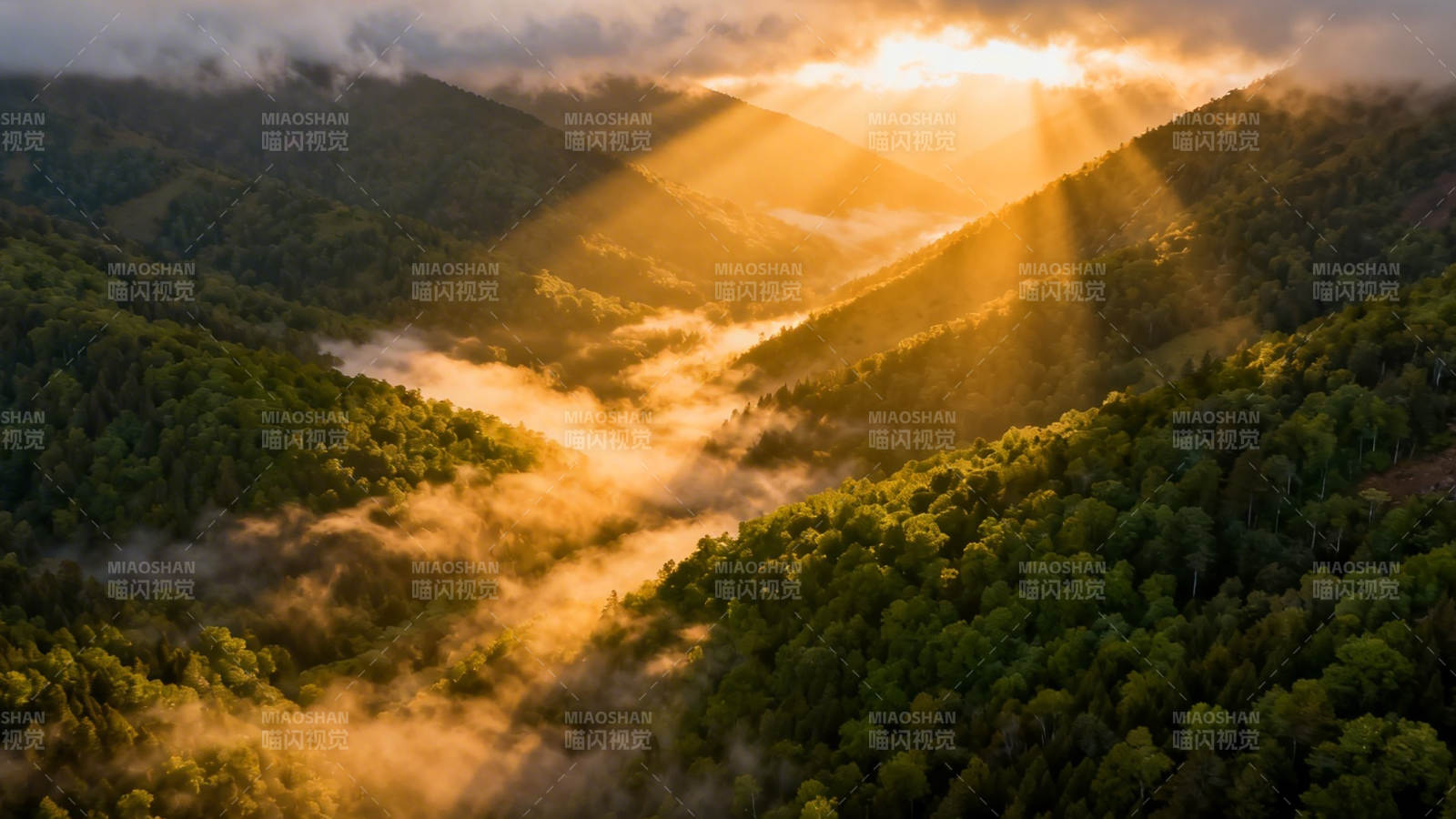 晨光穿云 山峦染金辉图片