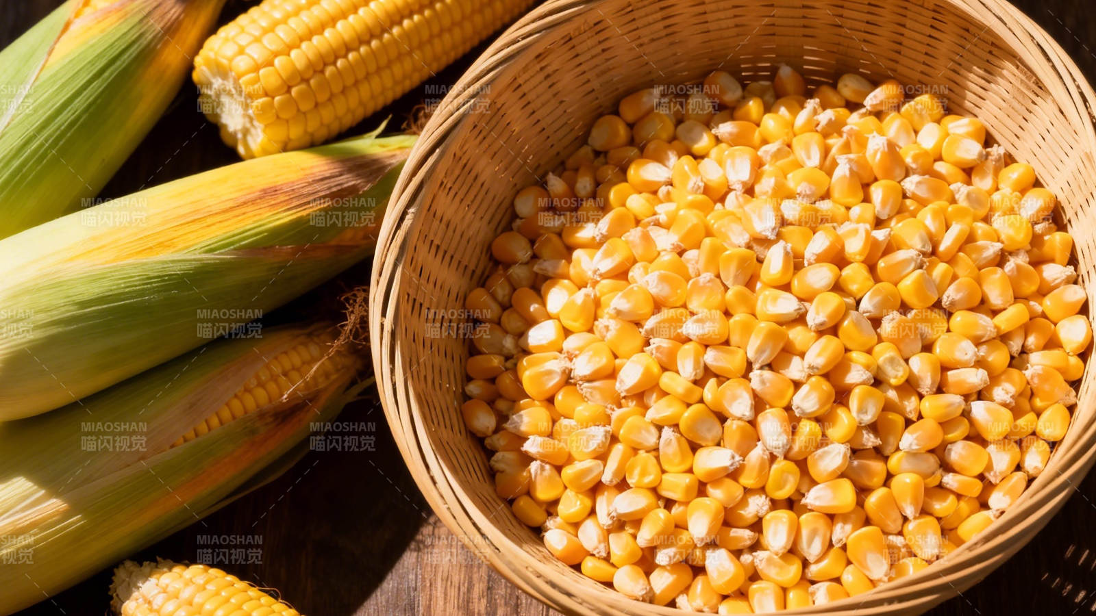 玉米粒满篮 丰收喜悦浓图片