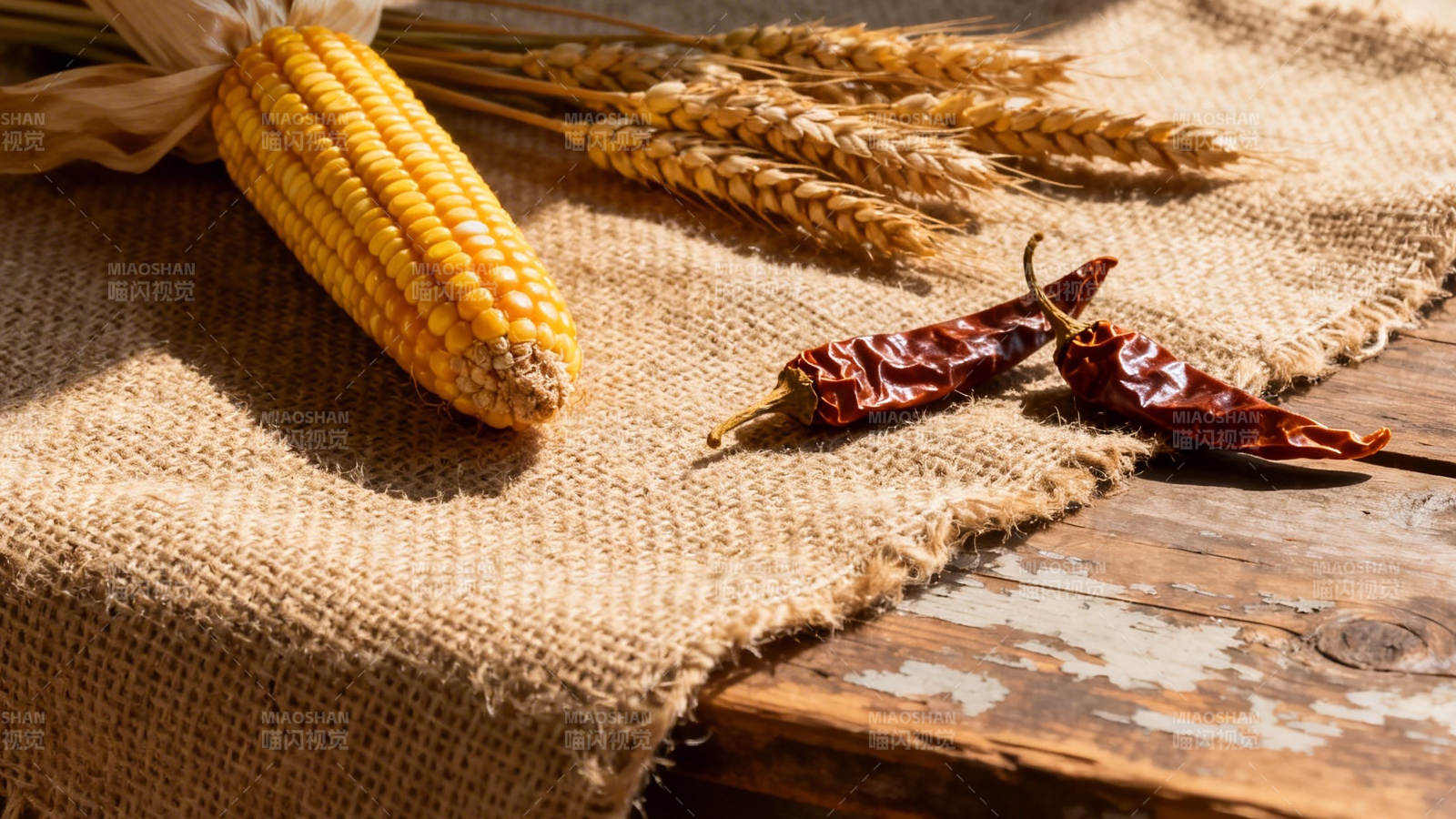 玉米麦穗辣椒布上摆图片