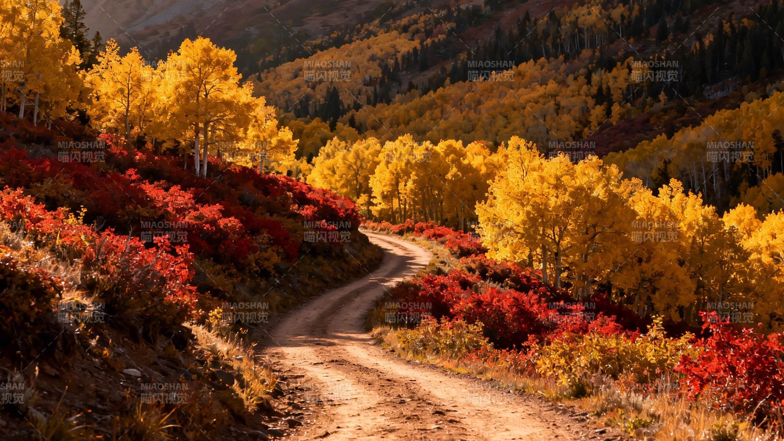 秋色山路 金红交织图片