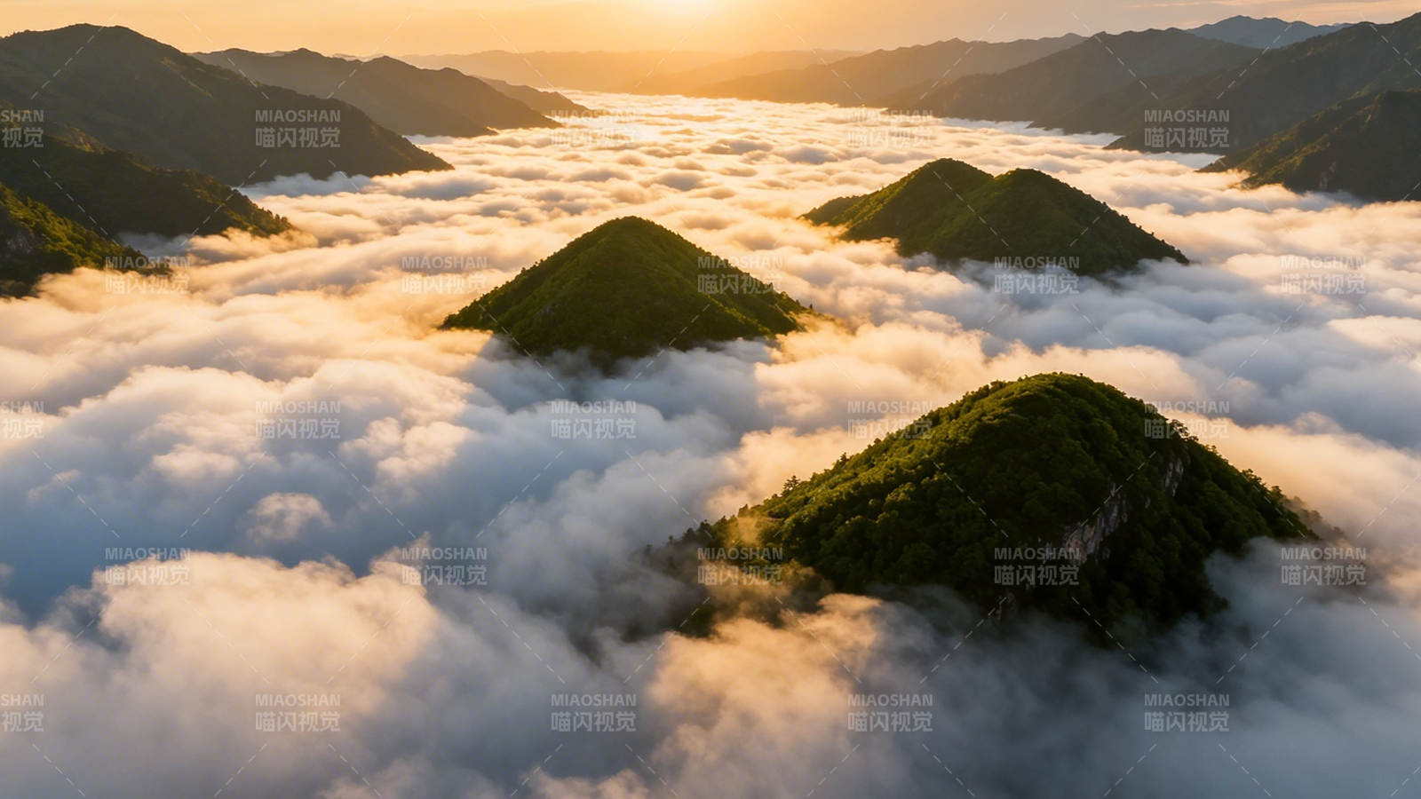 云海浮山 日出金辉图片