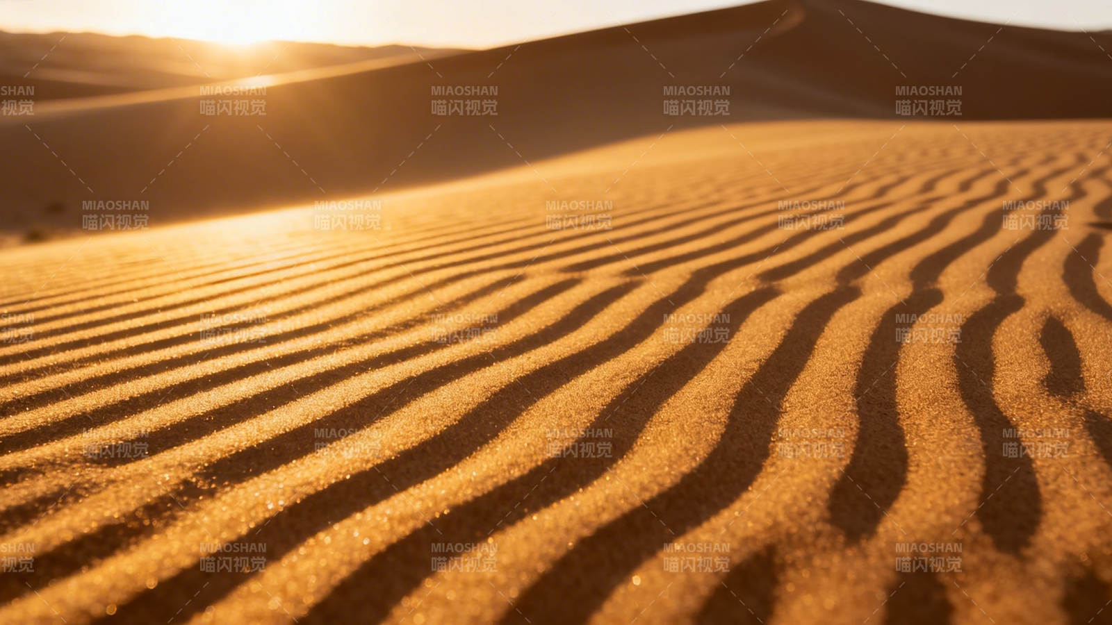 沙漠晨曦 沙纹如浪图片