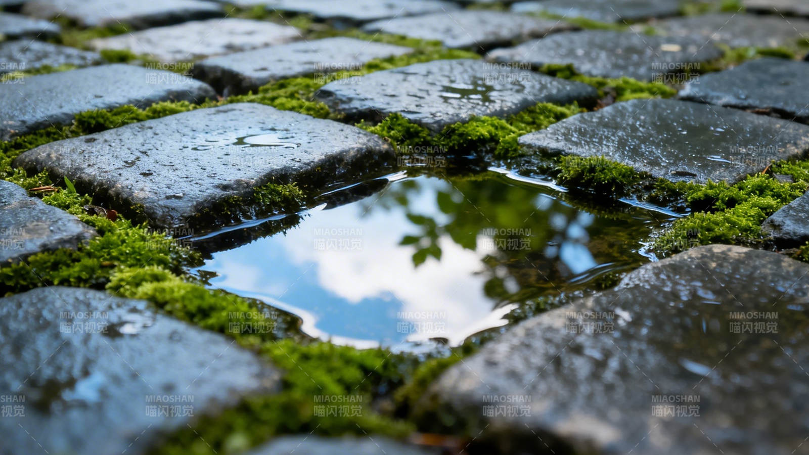 石缝水洼映云天图片