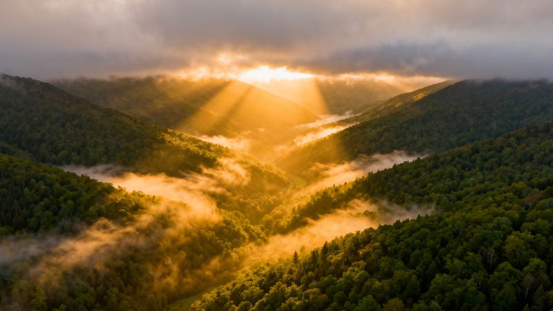 晨曦穿云 雾绕青山谷图片