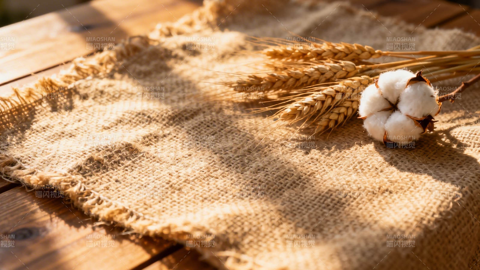 棉麦静置麻布上 暖阳斜照图片