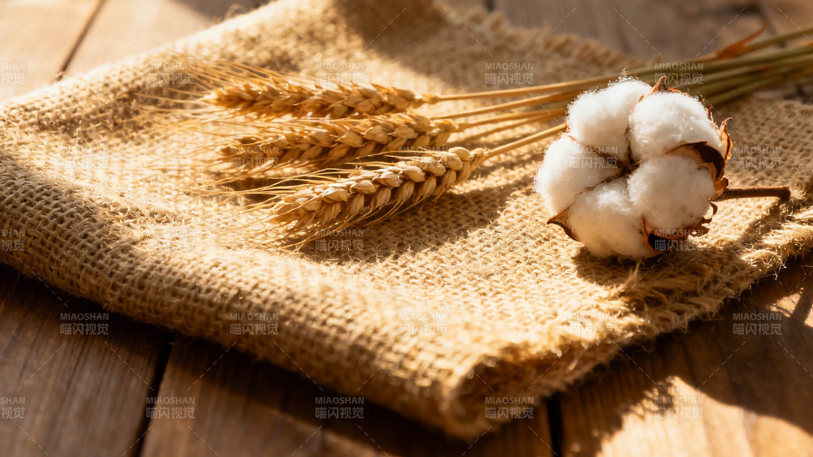 棉麦静置麻布上图片